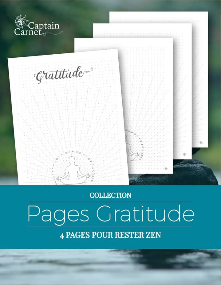 Carnet de Gratitude à imprimer et personnaliser  Agenda organiseur, Idées  de journal, Gratitude