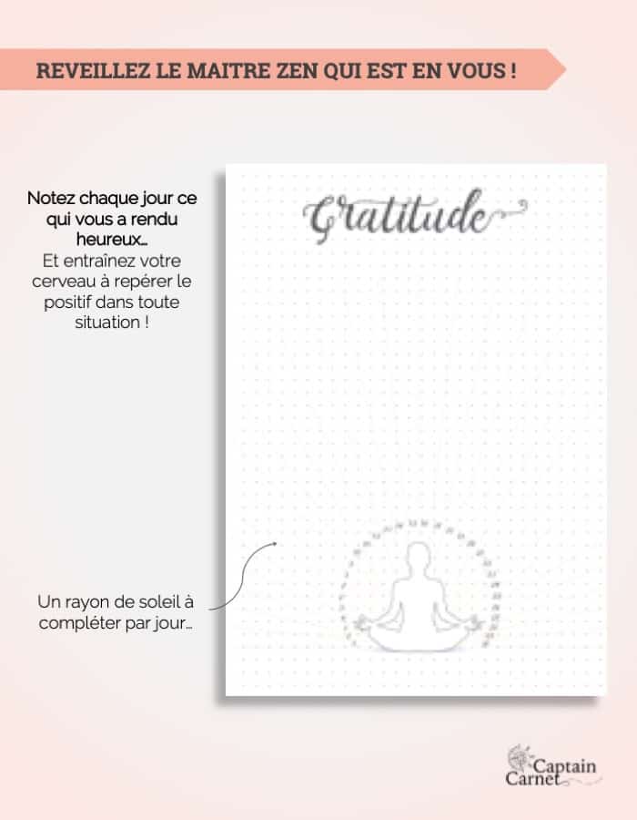 Journal de Gratitude : Une page par jour à remplir quotidiennement pour  Vivre Mieux et Être Plus Heureux (30 jours guidés): Journal de Gratitude